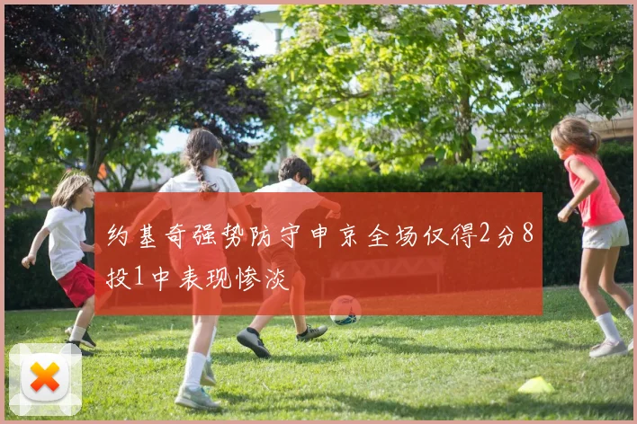 约基奇强势防守申京全场仅得2分8投1中表现惨淡