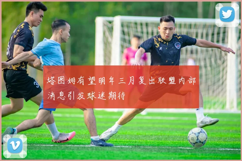 塔图姆有望明年三月复出联盟内部消息引发球迷期待