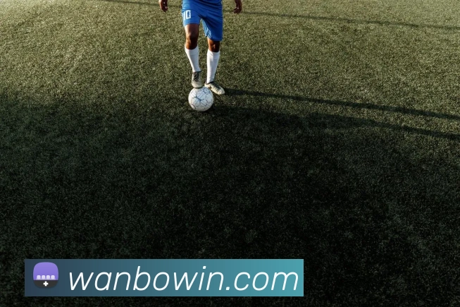 万博体育平台生态图